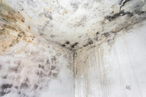 Basement water leak mold concrete spalling
